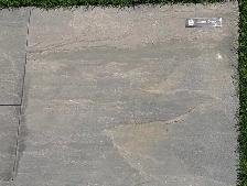 Slate Grey Natural Stone Pavers – $6.80/Sqft