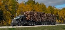 Now Hiring: Class 1A Log Truck Driver