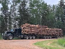 Now Hiring: Class 1A Log Truck Driver - Photo 2