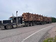 Now Hiring: Class 1A Log Truck Driver - Photo 4