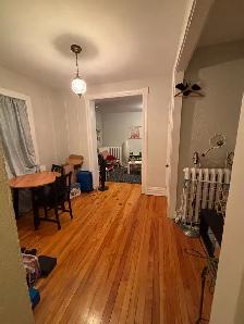 Sandy Hill - Photo 4