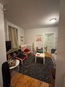 Sandy Hill - Photo 6