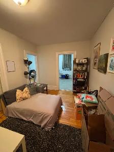 Sandy Hill - Photo 7