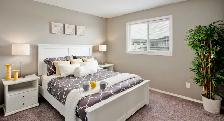 Foxdale Place - 3 Bed - Eve A - Niverville - Photo 5