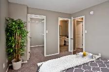 Foxdale Place - 3 Bed - Eve A - Niverville - Photo 6