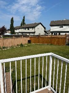 Rent duplex house with finished basement in Tamarack community - Photo 4