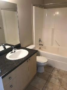 Rent duplex house with finished basement in Tamarack community - Photo 5