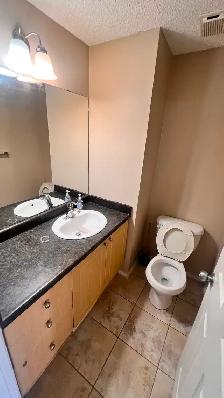 Rent duplex house with finished basement in Tamarack community - Photo 10