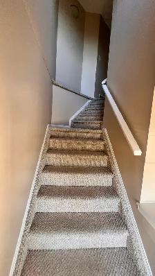 Rent duplex house with finished basement in Tamarack community - Photo 12