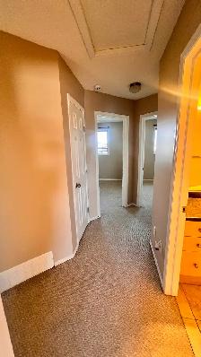 Rent duplex house with finished basement in Tamarack community - Photo 13