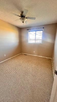 Rent duplex house with finished basement in Tamarack community - Photo 14