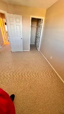 Rent duplex house with finished basement in Tamarack community - Photo 15