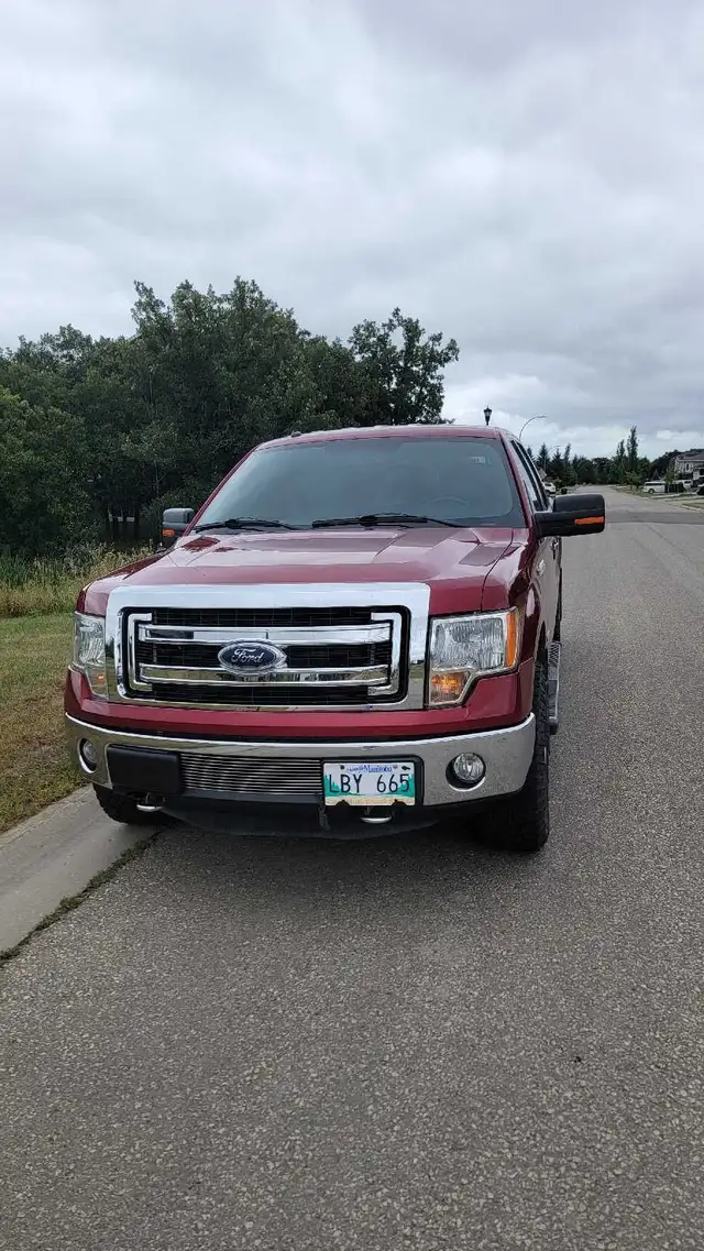 Saftied 2013 Ford F150 xlt 4x4