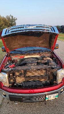 Saftied 2013 Ford F150 xlt 4x4 - Photo 10