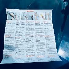 Rabbitgoo Window Film for Privacy, Static Cling Frosted Glass St - Photo 3