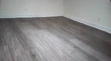 1 Bedroom basement Apartment Toronto includes utilities, parking - Photo 3