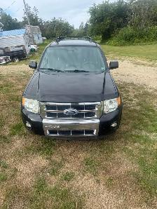 2009 Ford escape