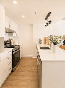 CESSATION DE BAIL – Grand 3 ½ lumineux | Rosemont Petite Patrie - Photo 3