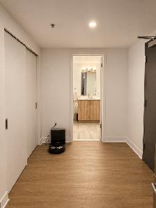 CESSATION DE BAIL – Grand 3 ½ lumineux | Rosemont Petite Patrie - Photo 8