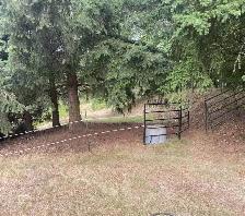 horse pasture for rent!