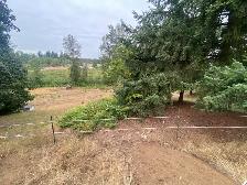 horse pasture for rent! - Photo 3