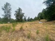 horse pasture for rent! - Photo 4