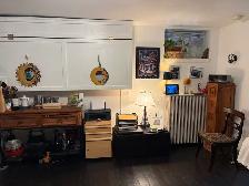 Bright Beaches 1 BR basement apartment for rent - Photo 5