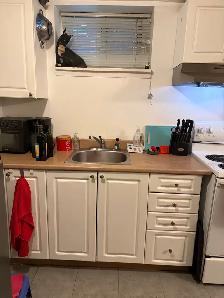 Bright Beaches 1 BR basement apartment for rent - Photo 6