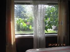 Best rooms for student, professional short/long term! - Photo 3