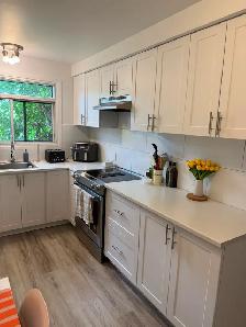 4 1/2 Vieux Longueuil -1.1km du Métro- $1395 (Octobre) 95-8 - Photo 11
