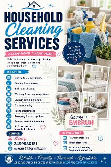 house cleaner