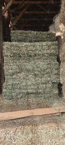 Hay for sale