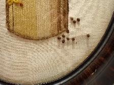 Crewel Embroidery - Photo 7
