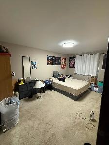 2 Bedroom apartment for rent - Photo 4