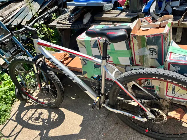 Giant bike