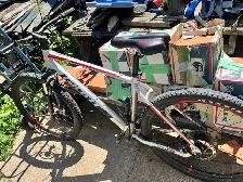 Giant bike