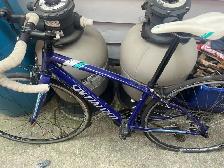 Giant bike - Photo 3