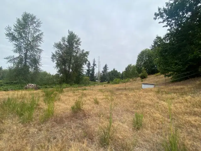 horse pasture for rent!