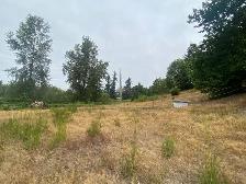 horse pasture for rent!