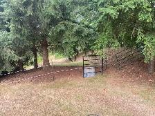 horse pasture for rent! - Photo 5