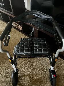 Evolution Walker - Photo 3