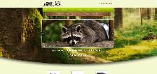 Web Design & App Developer | Website Builder (Wix, Shopify) - Photo 3