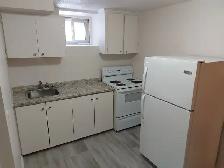 Centretown Basement ALL-INCLUSIVE Bachelor/Studio (353 Frank St) - Photo 3