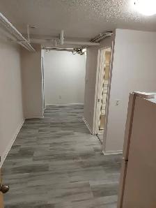 Centretown Basement ALL-INCLUSIVE Bachelor/Studio (353 Frank St) - Photo 4
