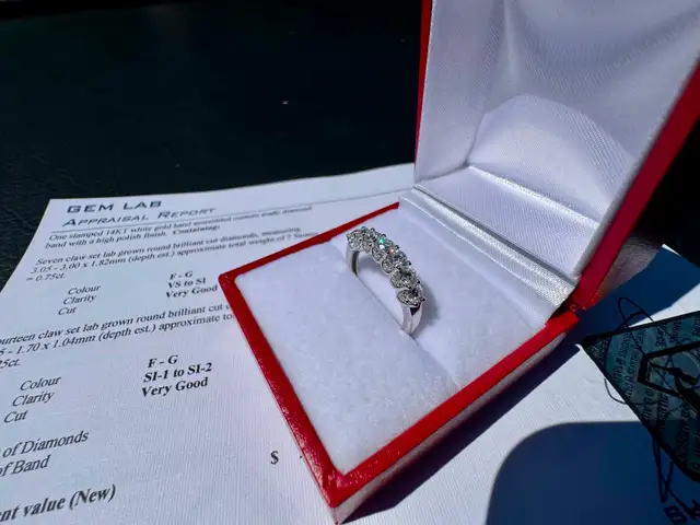 #893 - 14kt White Gold, 1.00ct Diamond Band, Size 6