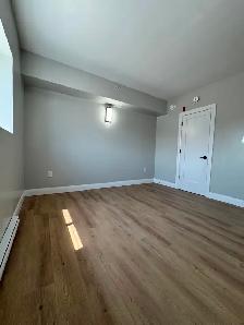 New 2 bedroom 2 bathroom Available Sep & Oct in Minnow Lake - Photo 4