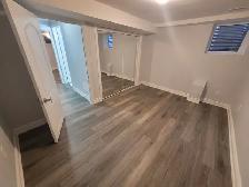 Newly Renovated 2 Bedroom 1 Bathroom Basement Apartment for Rent - Photo 6