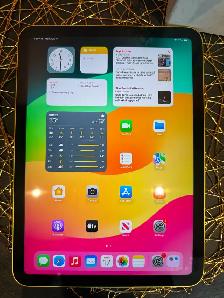 Apple 10th Generaton iPad~with Case