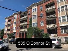 2 Bedroom Glebe Apartment for Rent (585 O'Connor St)