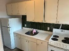 2 Bedroom Glebe Apartment for Rent (585 O'Connor St) - Photo 4